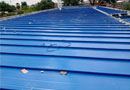 Proyecto Colegio Cali